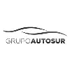 Grupo Autosur Grupo Autosur
