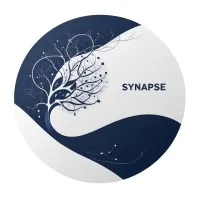 Synapse Bridge