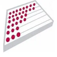 Freibert CPA Group, PLLC