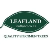 Leafland - Quality Specimen Trees
