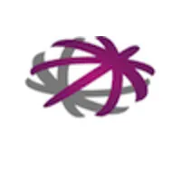 Consultor Técnico Consultor Técnico