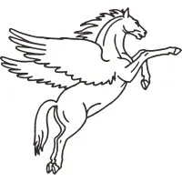 Pegasus InfoCorp