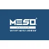 M.E.S.O., Inc. M.E.S.O., Inc.