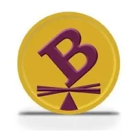 Borshoff Consulting, LLC