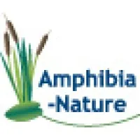 Amphibia-Nature