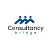 Consultancy Bridge Consultancy Bridge