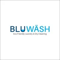 Bluwash_India