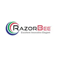Razorbee Online Solutions Pvt Ltd