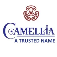 Camellia