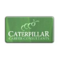 Caterpillar Career Consultants, Inc
