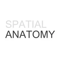 Spatial Anatomy