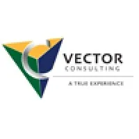 Vector Consulting, Inc Vector Consulting, Inc