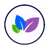 Financial Serenity Financial Serenity