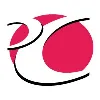 C&R Technologies C&R Technologies
