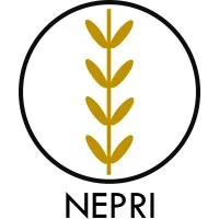 NEPRI FINANCE
