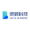 DataBurning DataBurning