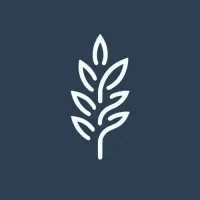 Romulus Media