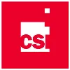 CSI CSI