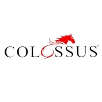 Colossus Trade Links Limited