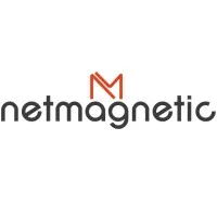 Netmagnetic Software infosolution Pvt LTD