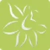 Darsh Web Solutions Darsh Web Solutions