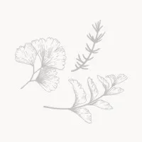 HOWARD DESIGN STUDIO HOWARD DESIGN STUDIO