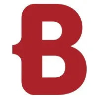 Borm-Informatik AG