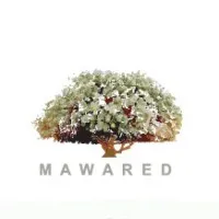 The National Resources Investment & Development Corporation| MAWARED