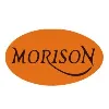 Morison Industries Plc Morison Industries Plc
