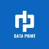 Data Point Data Point