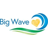 Big Wave Group