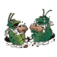 Best Pest Control