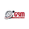 GSM SHIPPING & CARGO LLC GSM SHIPPING & CARGO LLC