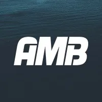 American Metal Bearing