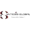 Syntesis Global, LLC Syntesis Global, LLC