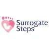 Surrogate Steps Surrogate Steps