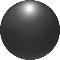 Black Pearl Publishing
