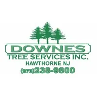 Downes Tree Service