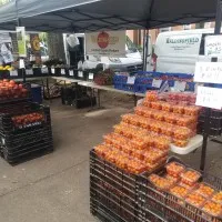 Waldingfield Farm, Inc
