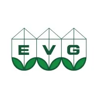 EVG