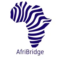 AfriBridge AfriBridge