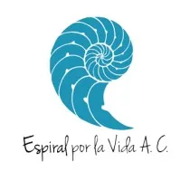 ESPIRAL POR LA VIDA, A.C. ESPIRAL POR LA VIDA, A.C.
