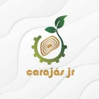 Carajás Jr - Serviços e Consultoria Mineral e Ambiental