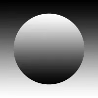 Limited Company Limited Company