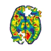 Plural Minds Therapy Plural Minds Therapy