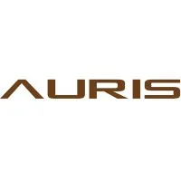 Auris Audio