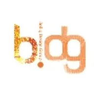 Bollig Design Group