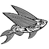 Flying Fish Flying Fish