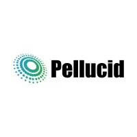 Pellucid IT Inc.