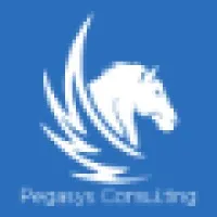 Pegasys Consulting